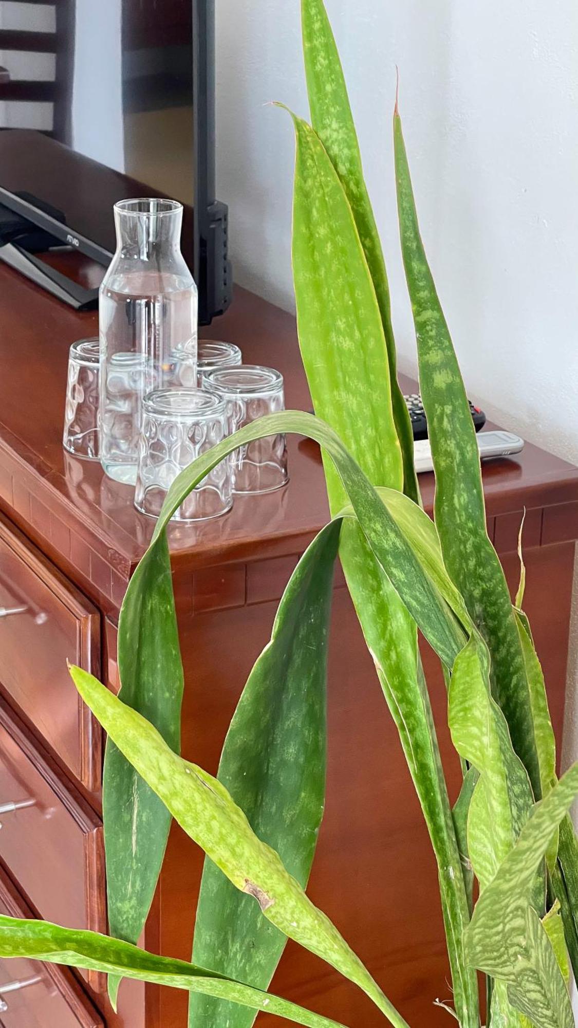 Quinta Alberto Boutique Hotel 圣布拉斯 客房 照片